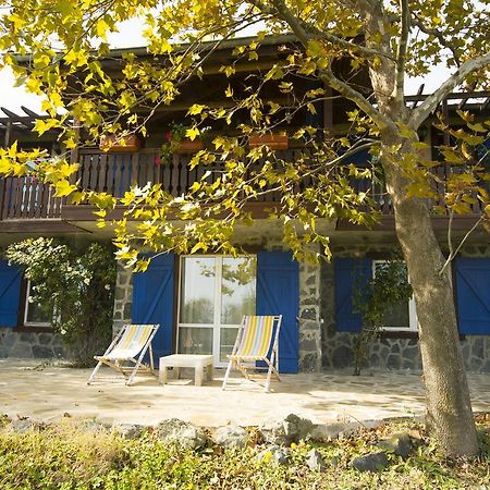Vila Art Provence House Lozenec Exteriér fotografie