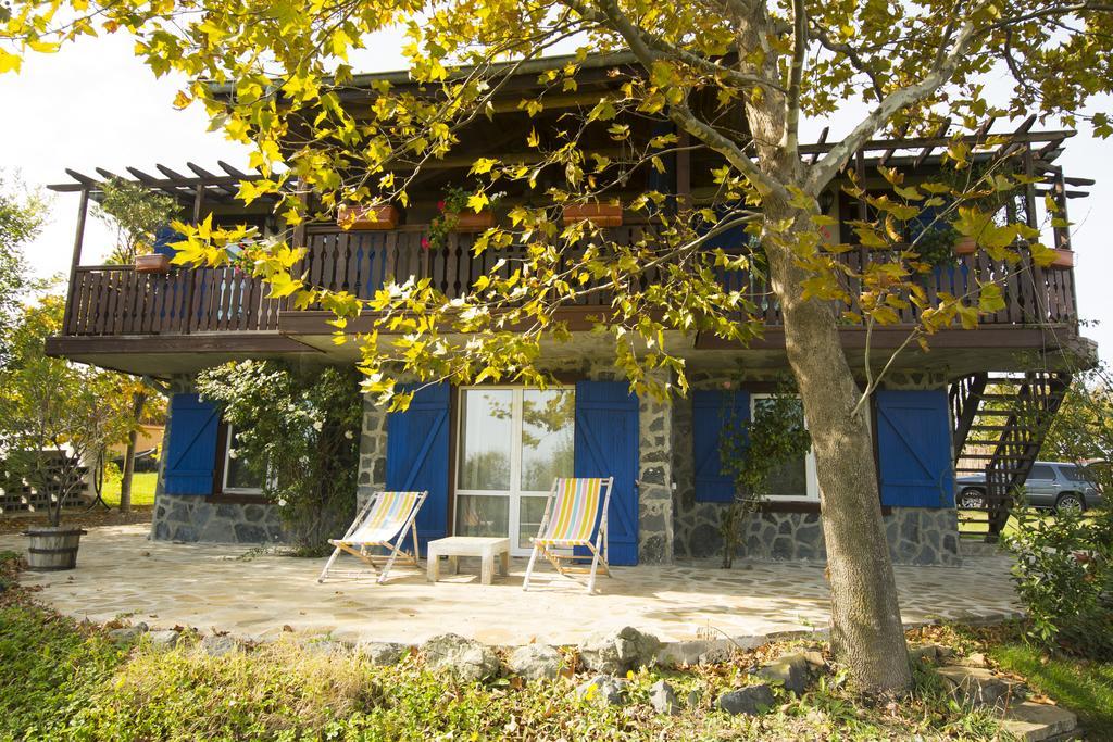 Vila Art Provence House Lozenec Exteriér fotografie